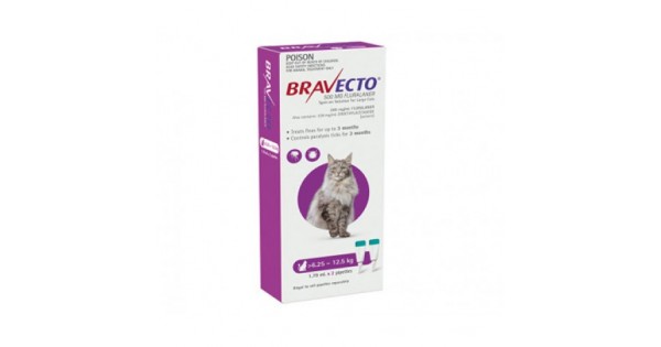 Bravecto Spot On for Cats Purple Large Cats & Kittens
